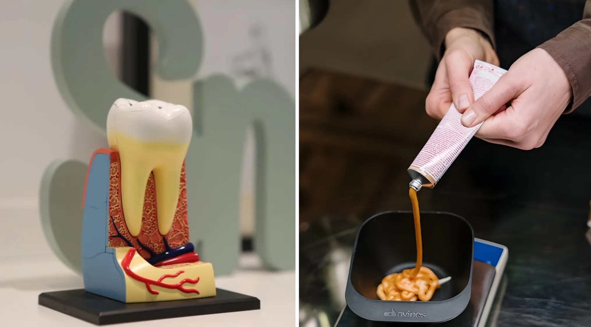 Guess The Word with a dental model showing tooth anatomy and a person squeezing caramel-colored hair dye into a bowl.