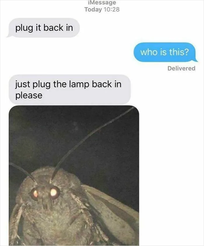 Plug It Back In