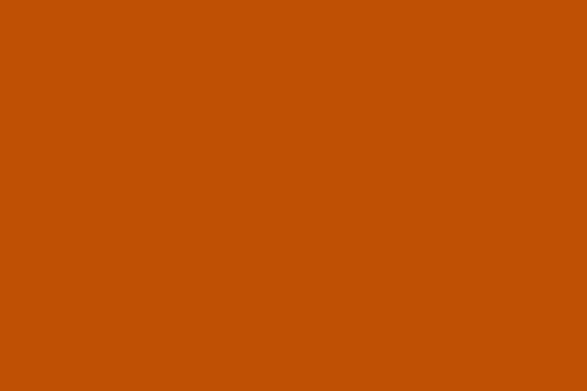 A solid, vibrant burnt orange color filling the entire frame. This color can match your vibe.