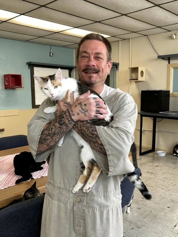This Prison In Indiana Lets Inmates Care For Shelter Cats