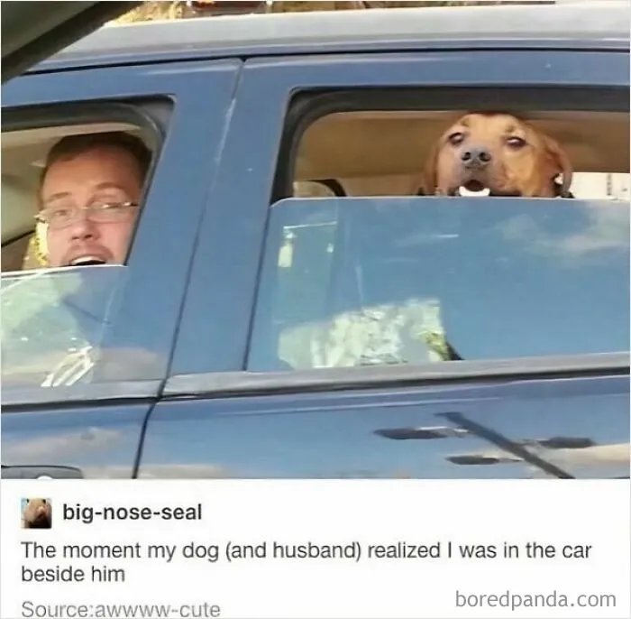 53 Wholesome Internet Finds That Might Just Lift Your Mood