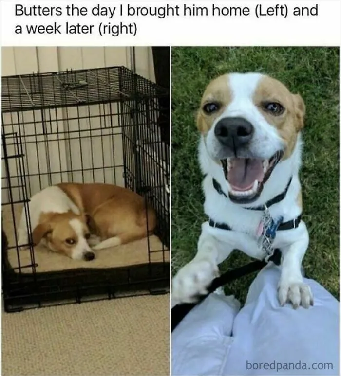 53 Wholesome Internet Finds That Might Just Lift Your Mood