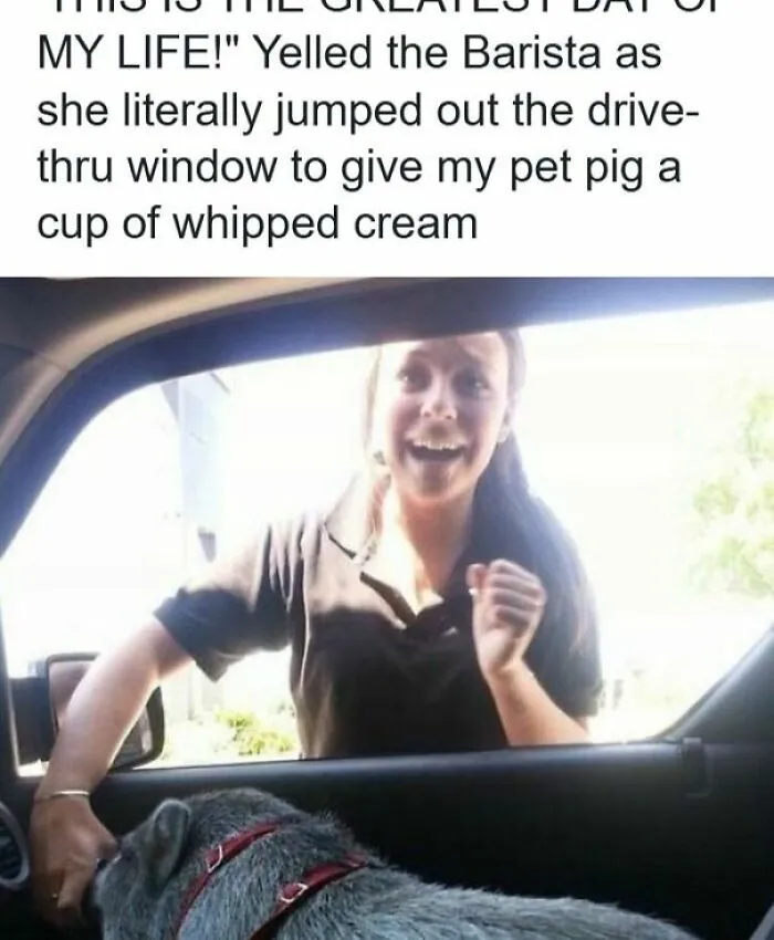 53 Wholesome Internet Finds That Might Just Lift Your Mood