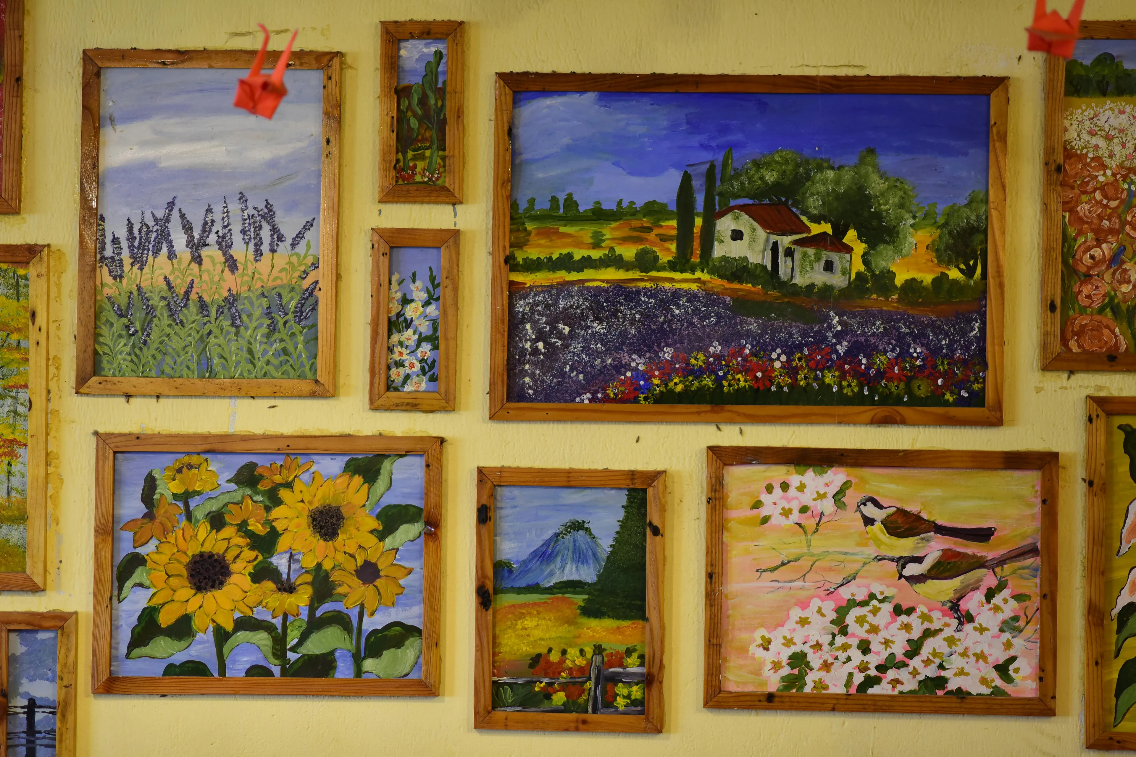 A wall displaying various colorful paintings in wooden frames, perfect as a housewarming gift. Subjects include sunflowers, birds, lavender fields, and houses.