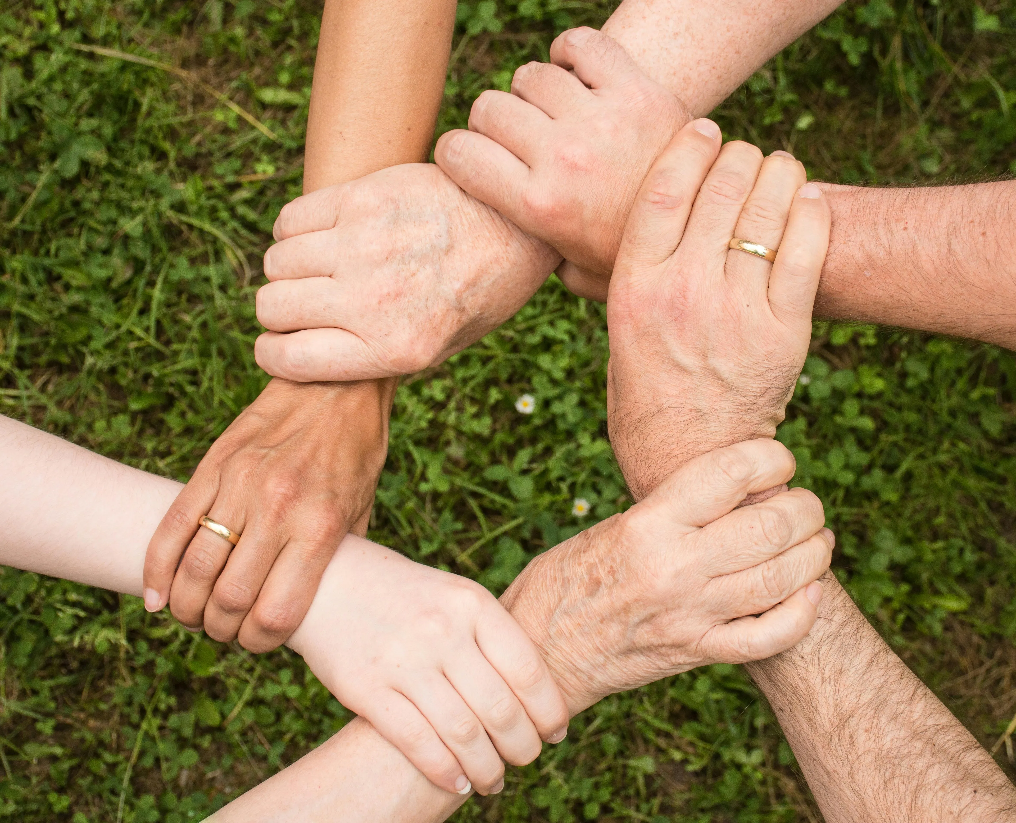 Diverse arms with interlocked hands form a circle, symbolizing support and community. Reaction to rejection quiz.