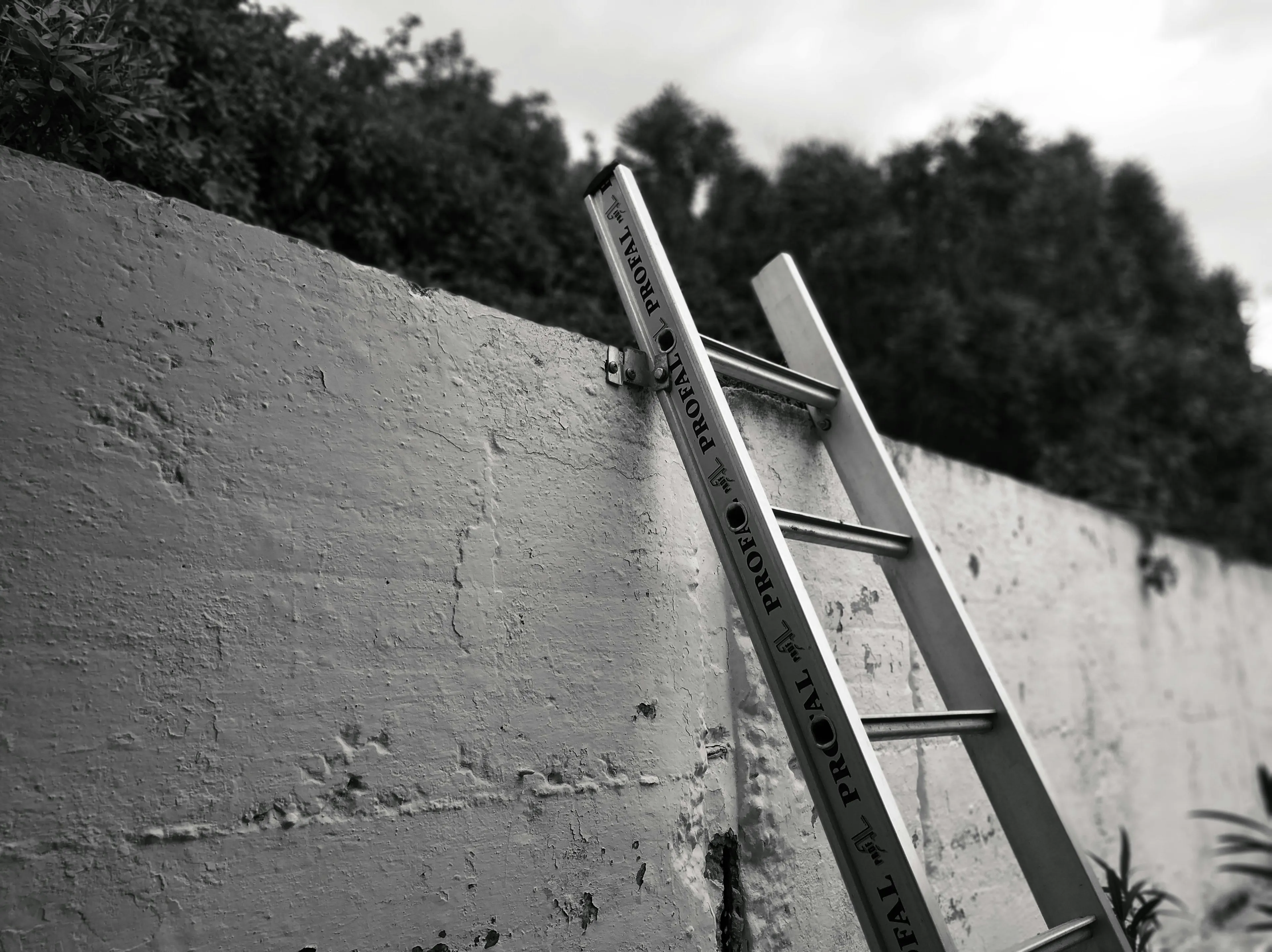 A muddy ladder leaning against a weathered wall with foliage in the background, symbolizing the act of apology and restitution.