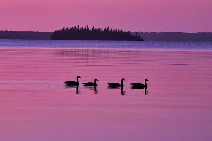 Prince Albert National Park, Saskatchewan
