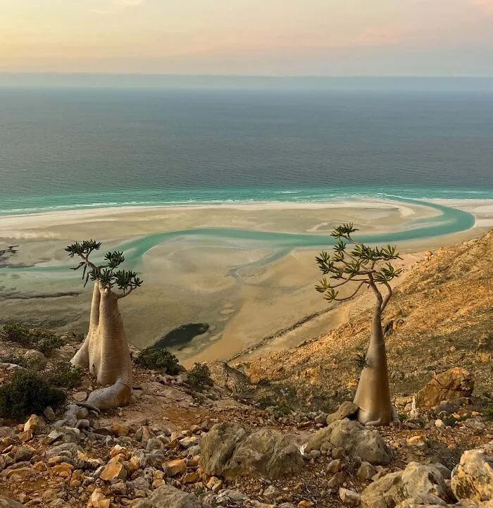 1 Week In Socotra, Yemen. This Place Has Been On The Top Of My Bucket List For Over 15 Years. I Was Fortunate To Make The Dream A Reality