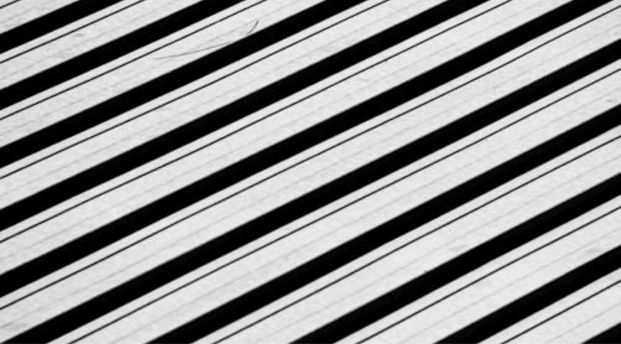 A close-up of a zebra's black-and-white stripes, answering a general knowledge question about animals.