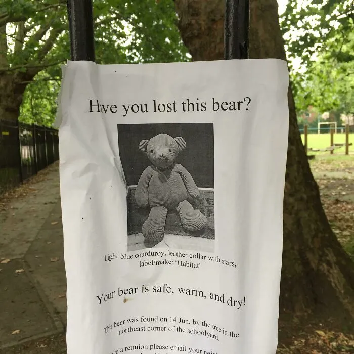 "Lost Pet" Sign In Oxford, UK