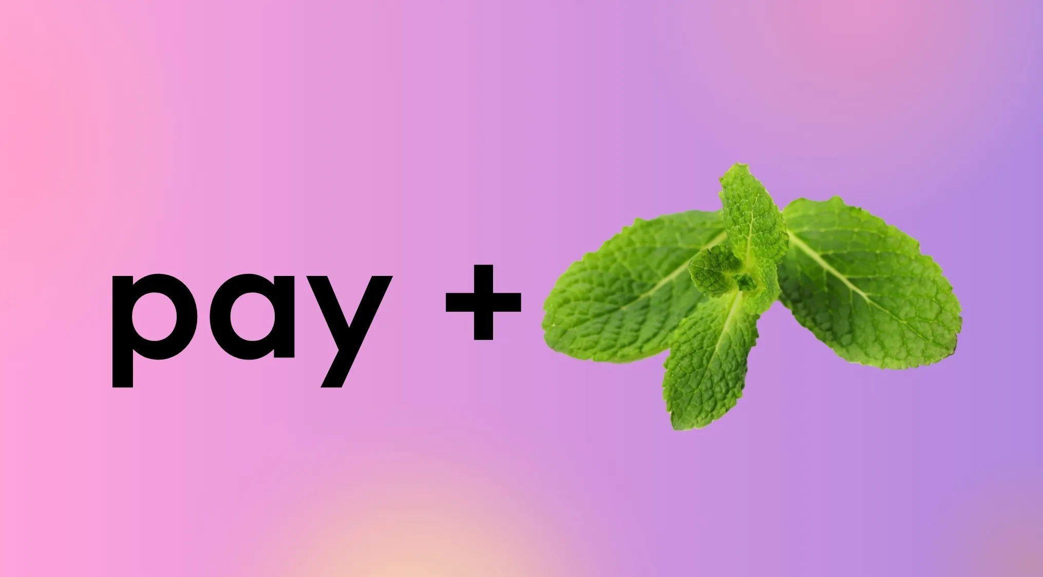 Solve the rebus: The word "pay" plus a sprig of fresh mint against a gradient background, forming "payment."