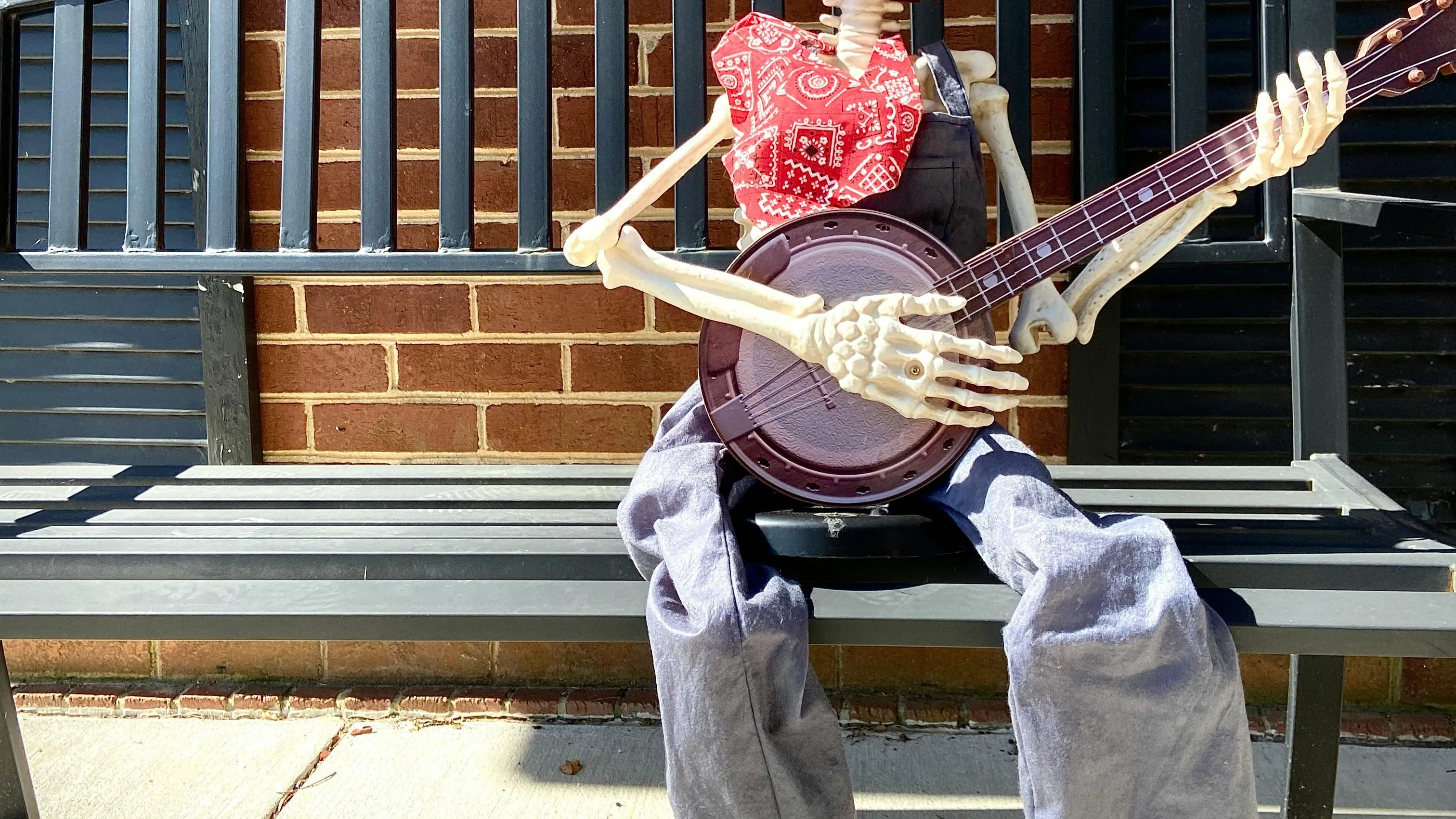 A skeleton with a red bandana and overalls sits on a bench, playing a banjo. General Knowledge Easy To Hard, bones in adult human body.