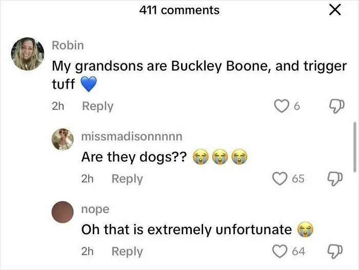 Are They Dogs? Lmao