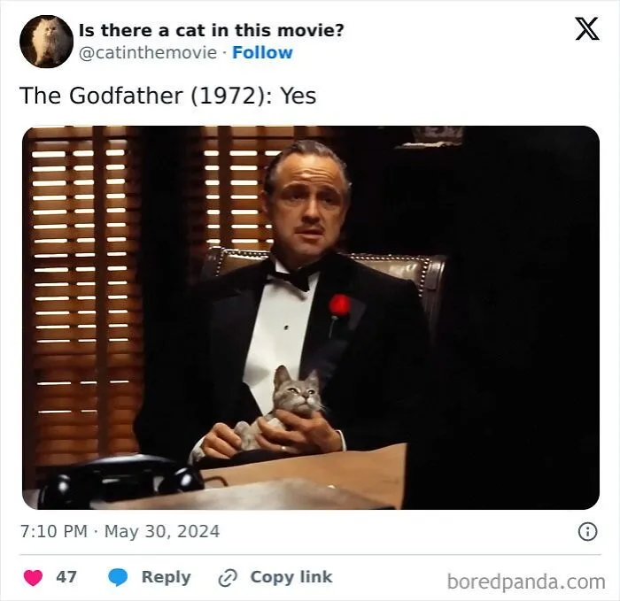 83 Unexpected Cat Cameos In Movies You Probably Missed The First Time 