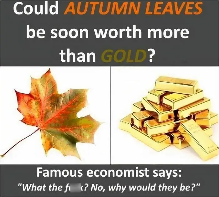 Why Can’t They Tho