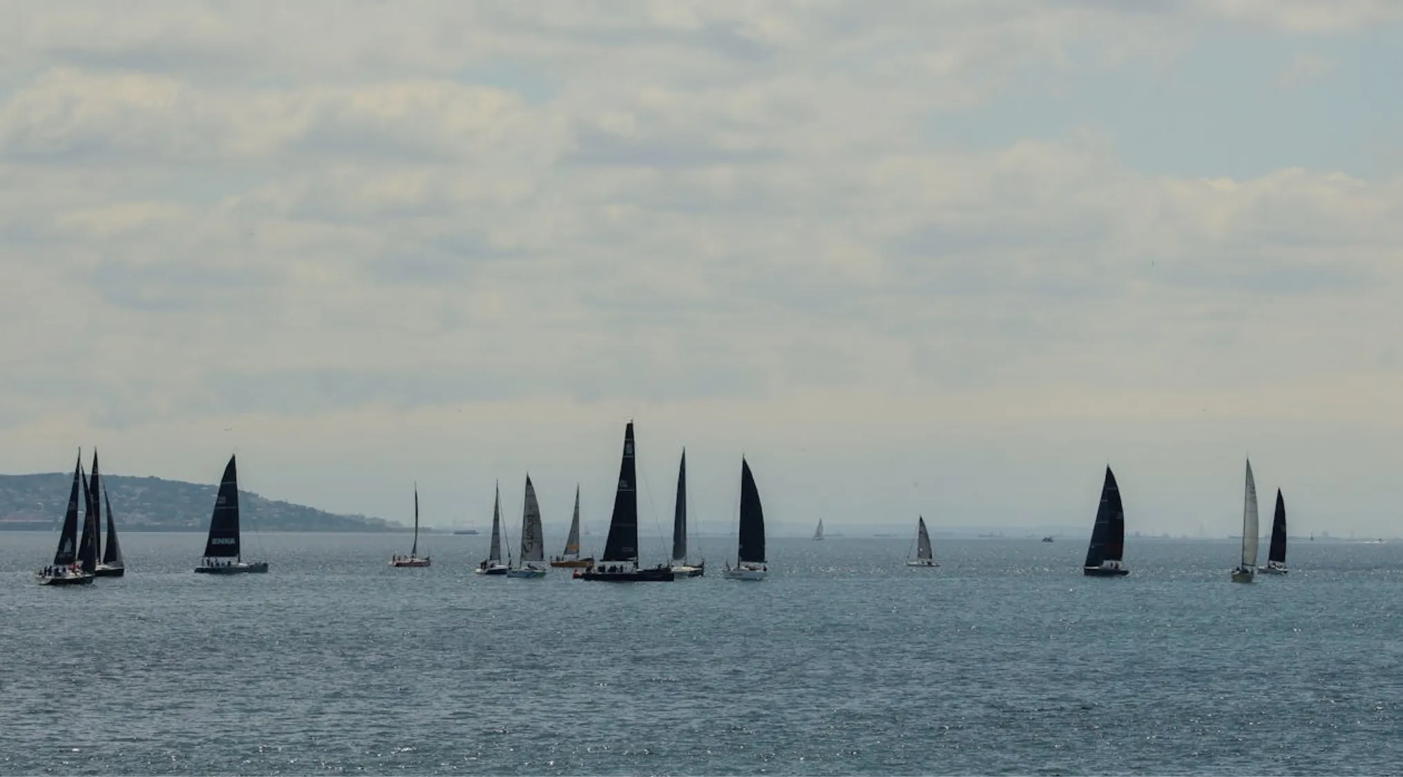 Numerous sailboats with black and white sails on a calm sea under a cloudy sky, reminiscent of the First Fleet arrival.