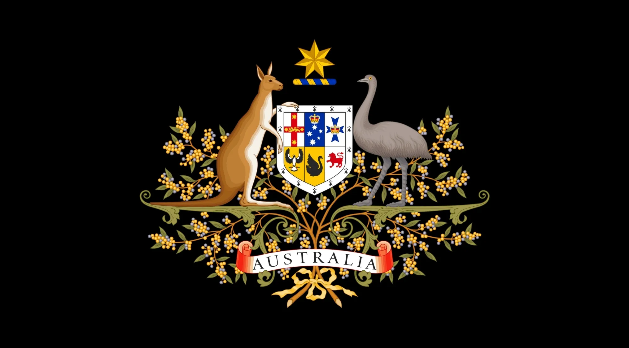 The Australian Coat of Arms, featuring a kangaroo and an emu, for Australian Citizenship, House of Representatives.