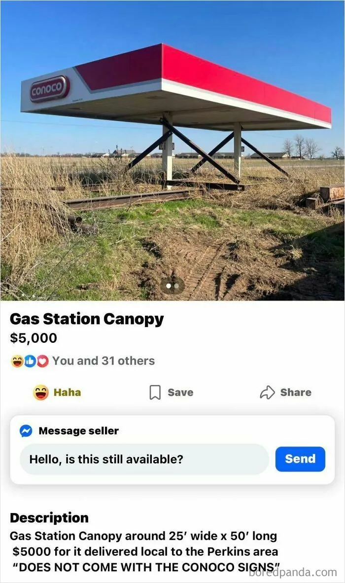 Does This Belong Here? Is There A Small Group Of Collectors Who Are Like, Man, I Need This As A Carport!