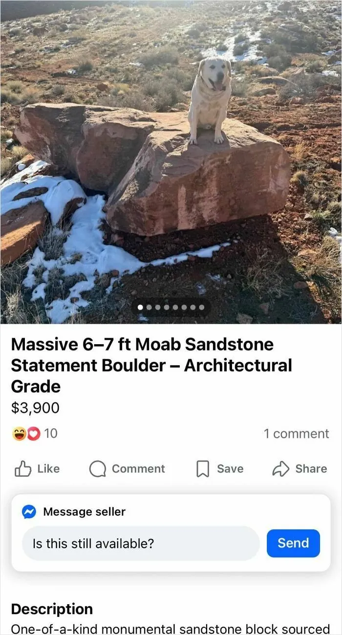 Almost 4K For A Rock 👁️👄👁️ I Can Go Out To The Local Desert And Get Myself One Of These Bad Boys For Free 99