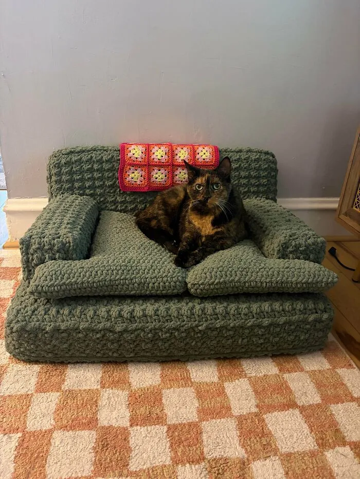 Cat resting on handmade crocheted green pet sofa with pink blanket