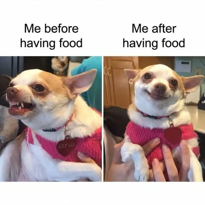 45 Funny Food Memes To Scroll While You’re Having Your Lunch