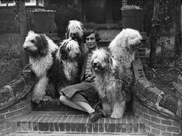 45 Historical Moments That Show The Unchanging Bond Between Dogs And Humans Shared By This Community