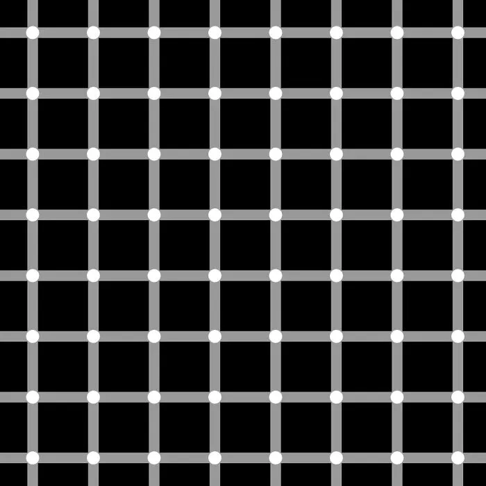 Scintillating Grid Illusion