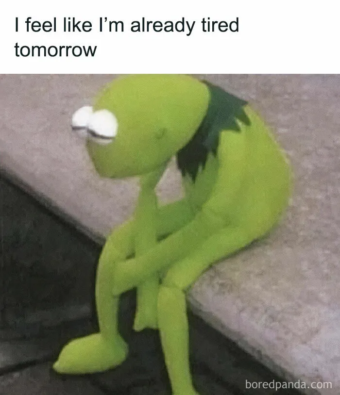 79 Silly Memes That Feel Suspiciously Relatable