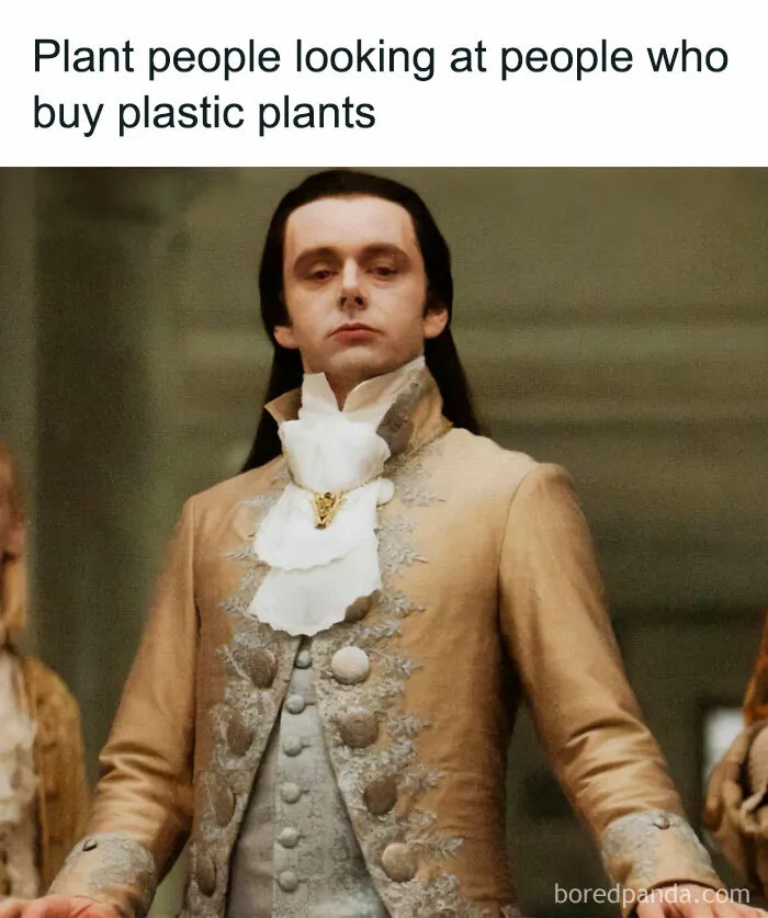 This IG Page Is Rife With Funny Plant Memes, And These 59 Are The Best So Far (New Pics)