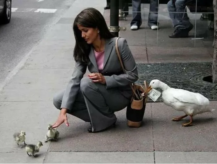 These Heartwarming Animal Photos Show The Beautiful Bond Between Animals And Humans (31 New Pics)