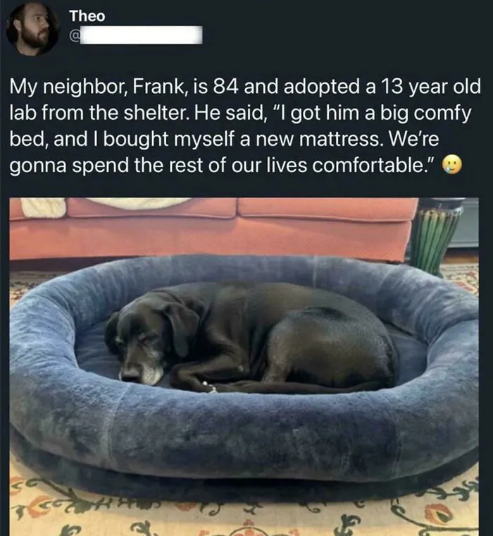 Protect Frank At All Costs