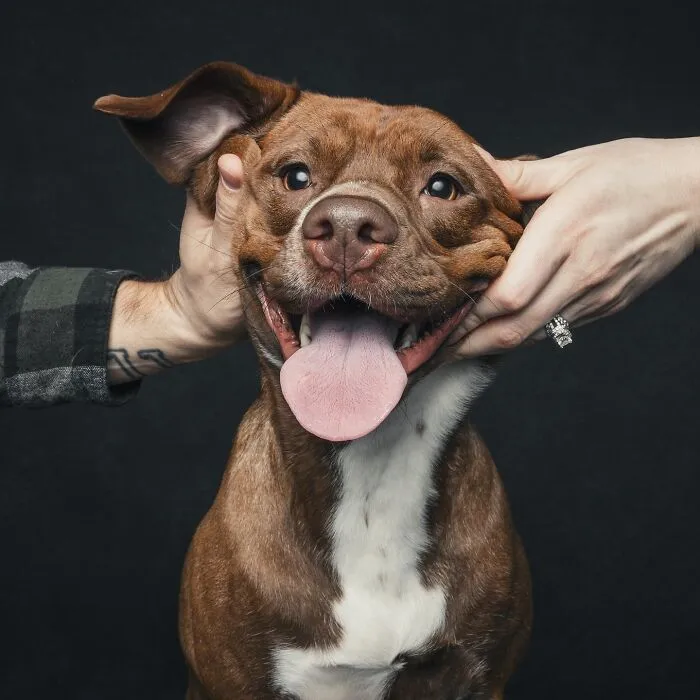 38 Photos From This Series That Prove How Powerful The Bond Between Dogs And Humans Can Be