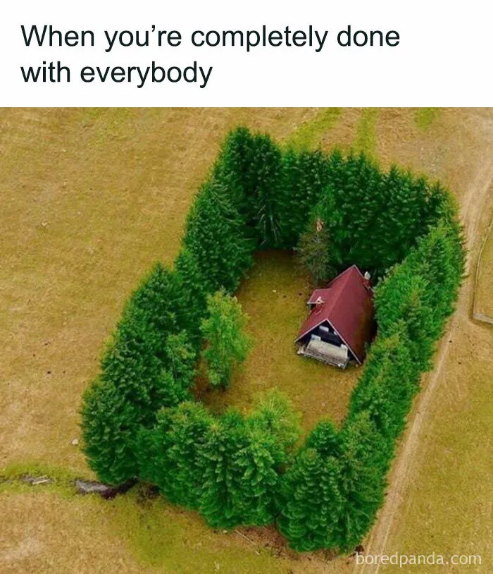 79 Silly Memes That Feel Suspiciously Relatable