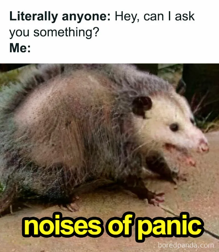 If You Need Memes As Much As You Need Coffee, Here Are 33 Hilarious Ones For You To Scroll