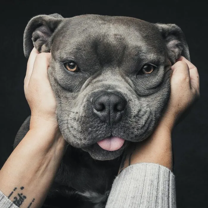 38 Photos From This Series That Prove How Powerful The Bond Between Dogs And Humans Can Be
