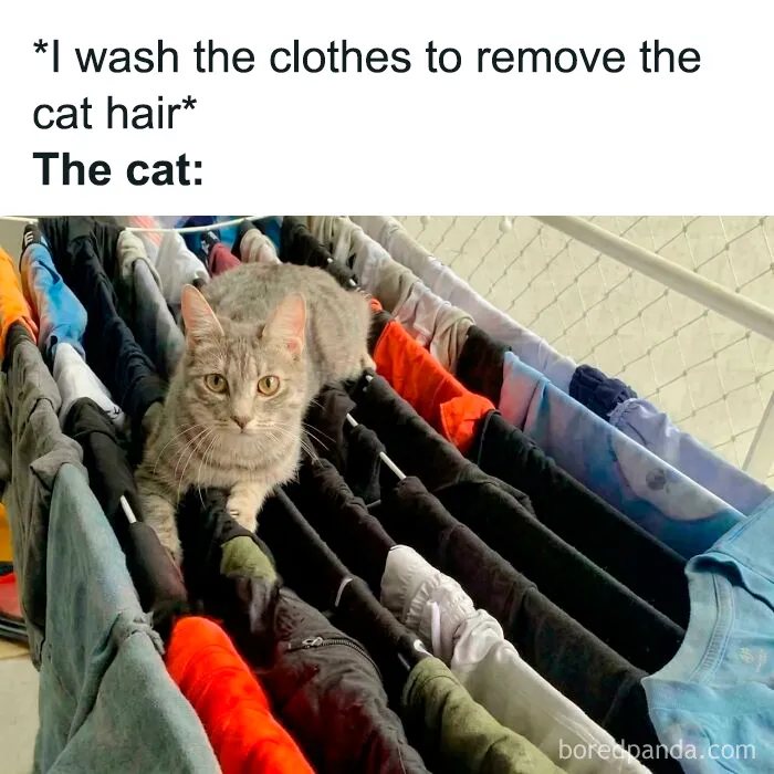 Laundry Attendant