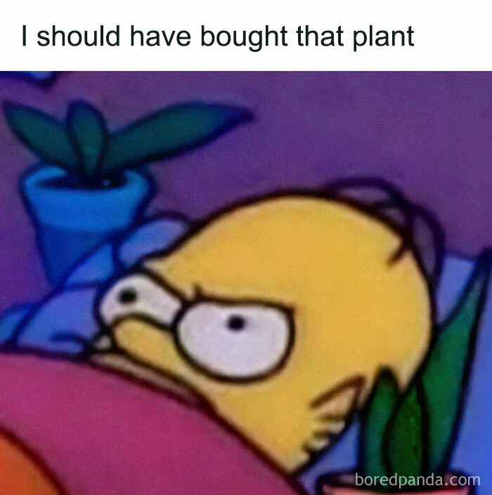 This IG Page Is Rife With Funny Plant Memes, And These 59 Are The Best So Far (New Pics)