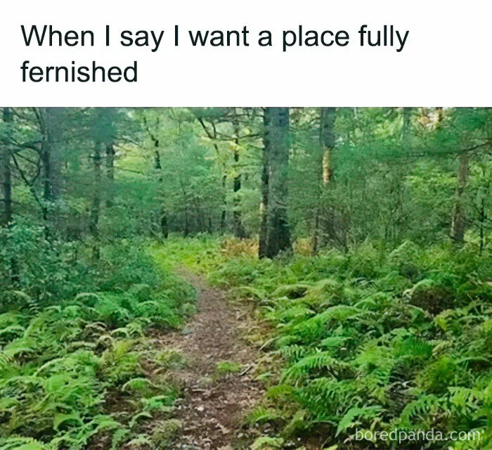 This IG Page Is Rife With Funny Plant Memes, And These 59 Are The Best So Far (New Pics)