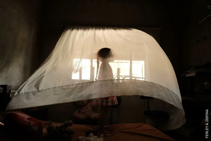 South America, Stories: Name The Absence By Ferley A. Ospina