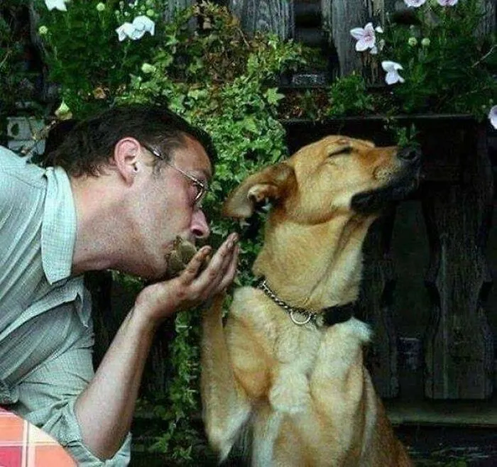 30 «Imágenes importantes de animales» que te harán sonreír