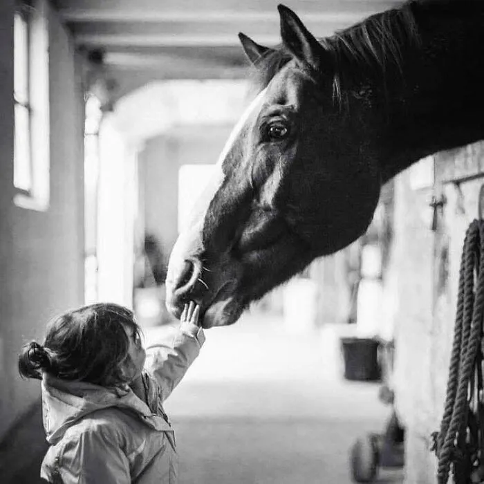 Photography By Jennifer Macneill