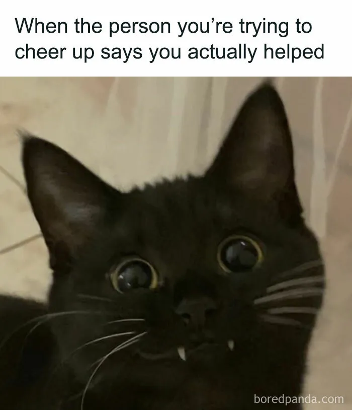79 Silly Memes That Feel Suspiciously Relatable