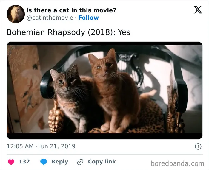 83 Unexpected Cat Cameos In Movies You Probably Missed The First Time 