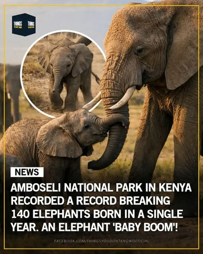 Enlighten Yourself By Scrolling Through These 83 News Stories From “Things You Don’t Know” (New Pics)