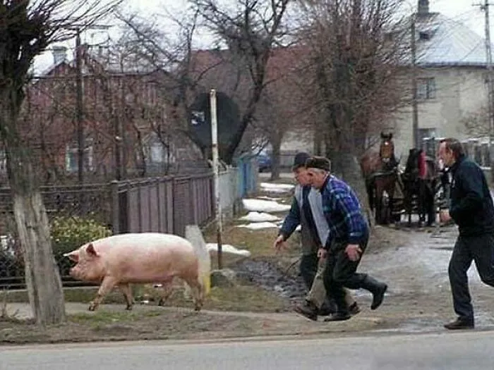 79 Funny Memes That Show Why Eastern Europe Is A Whole Different Universe (New Pics)