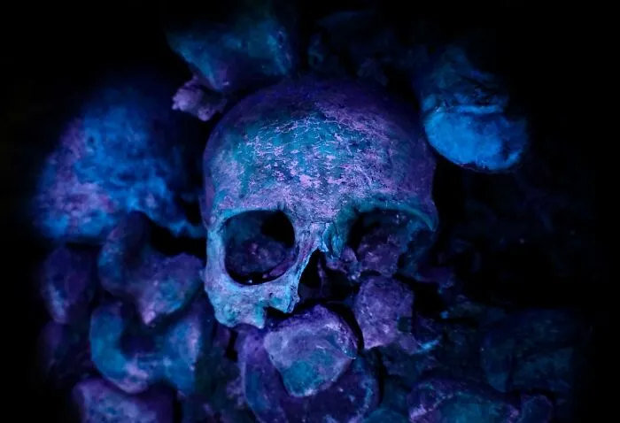 Glowing Bones