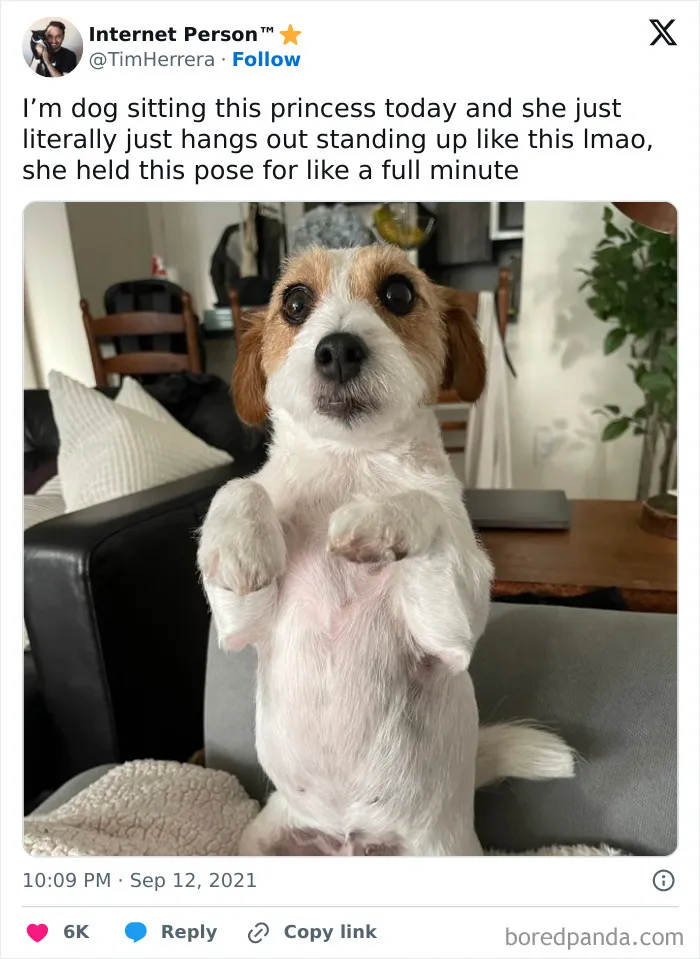 This Little Princess Pose