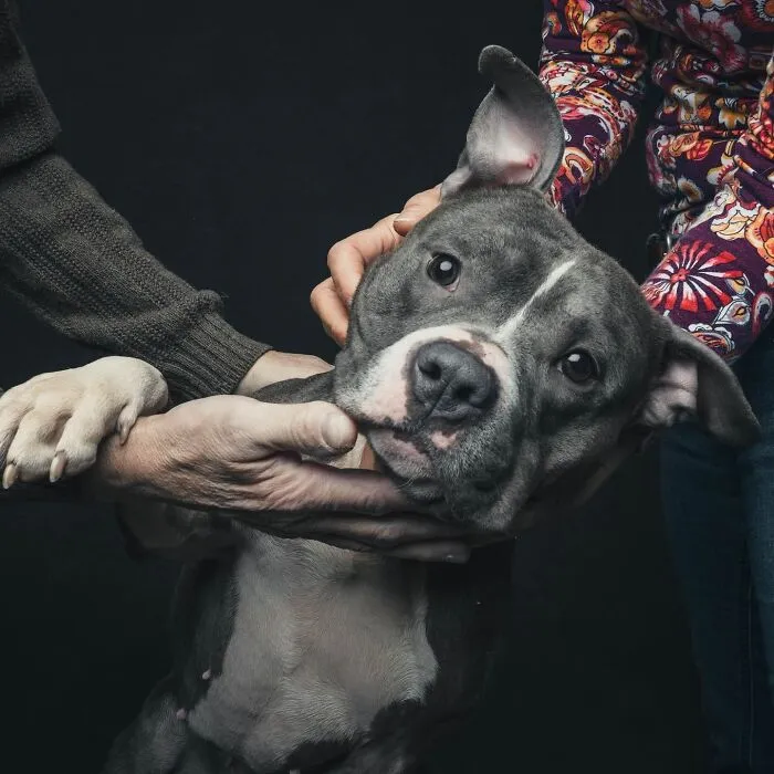 38 Photos From This Series That Prove How Powerful The Bond Between Dogs And Humans Can Be