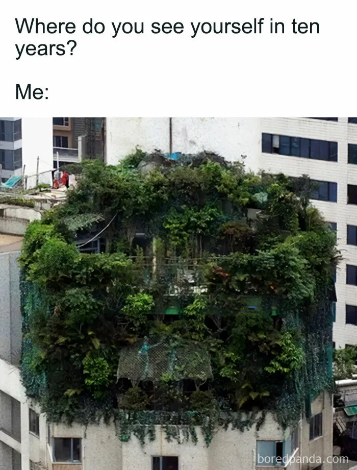 This IG Page Is Rife With Funny Plant Memes, And These 59 Are The Best So Far (New Pics)