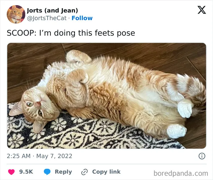 Scoop: I’m Doing This Feets Pose